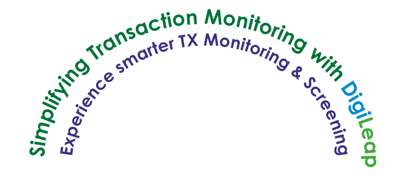 Transaction Monitoring | DigiLeap Technologies